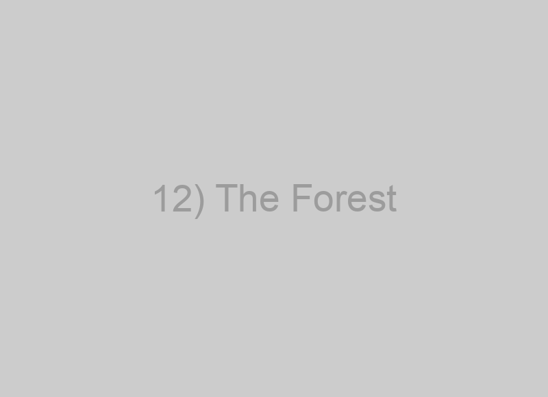 12) The Forest